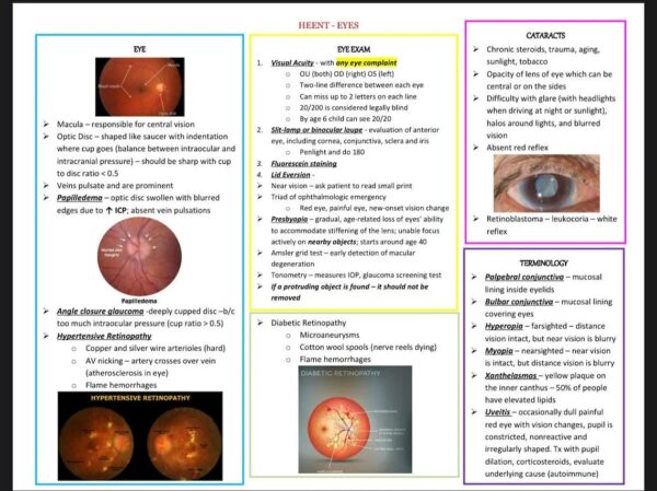 AANP/ANCC Board exam comprehensive review with pictures